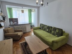 Teiul Doamnei Sectia 7 Colentina